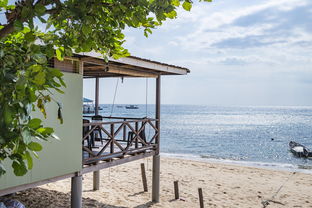 爱游戏中国官方登录入口网站-绿色场馆覆盖智能环保系统，推动全球体育绿色低碳行动，绿色场馆建设